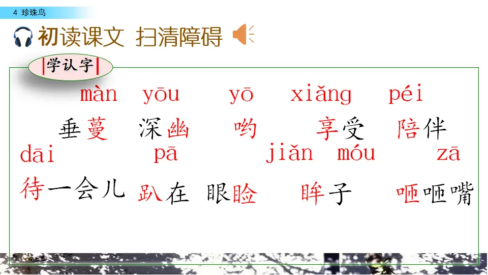 4 珍珠鸟（课件2）_03.webp