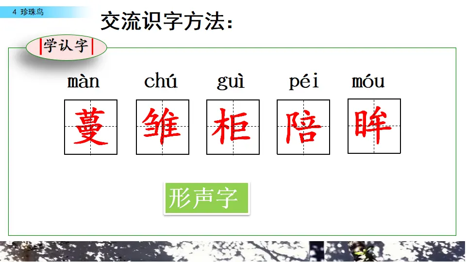 4 珍珠鸟（课件2）_04.webp
