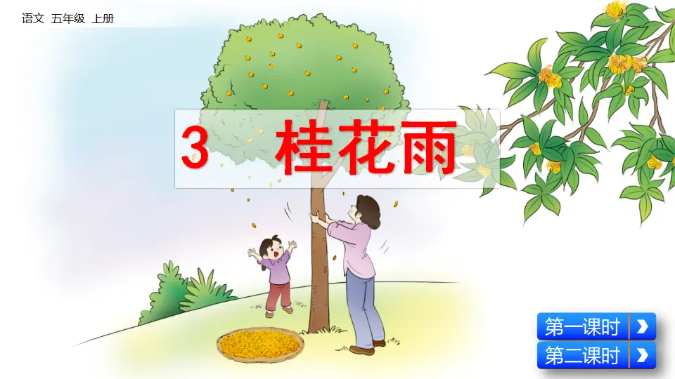 3 桂花雨（课件2）_03.webp