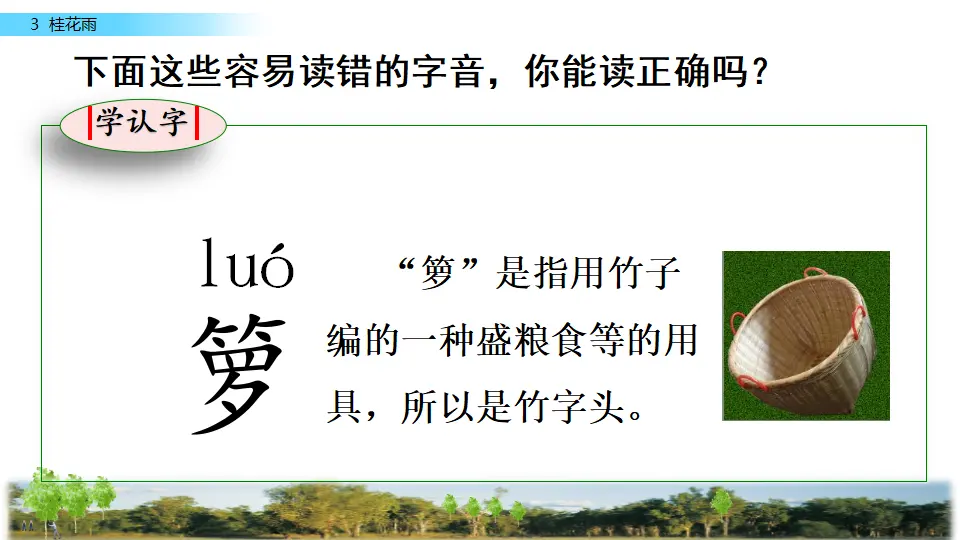 3 桂花雨（课件2）_05.webp