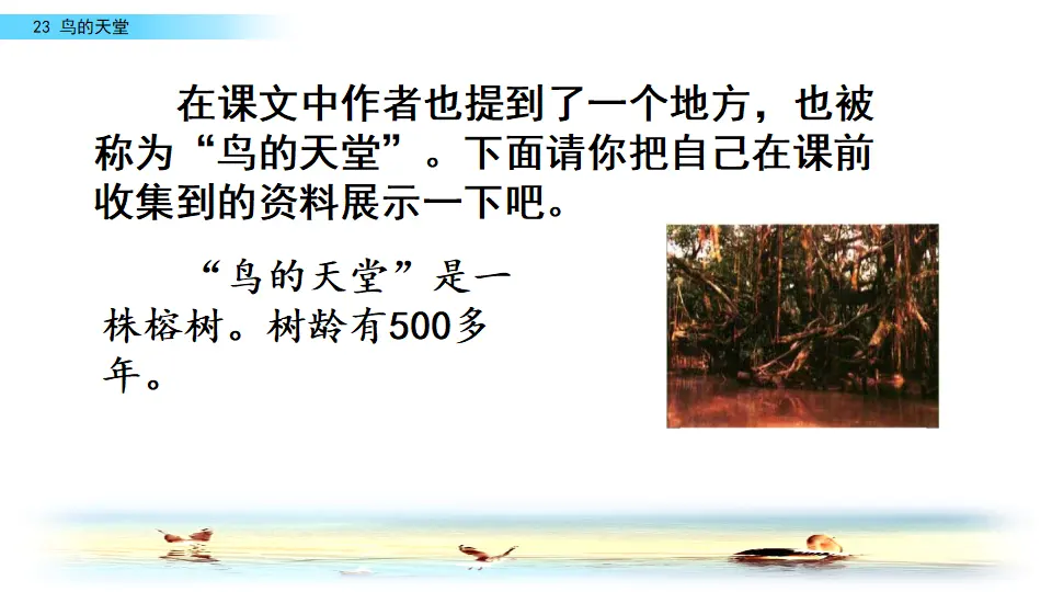 23 鸟的天堂（课件2）_04.webp