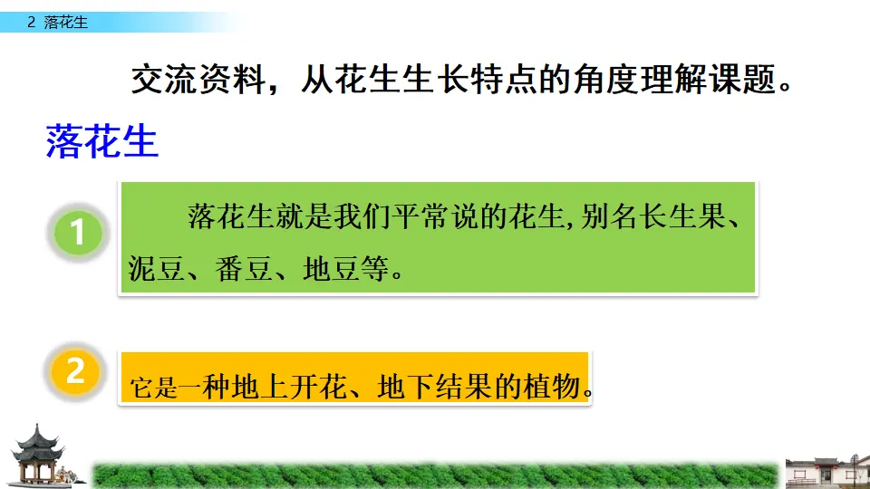 2 落花生（课件2）_02.webp