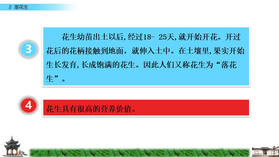 2 落花生（课件2）_03.webp
