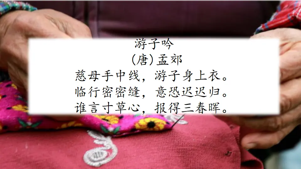 18 慈母情深（课件2）_01.webp