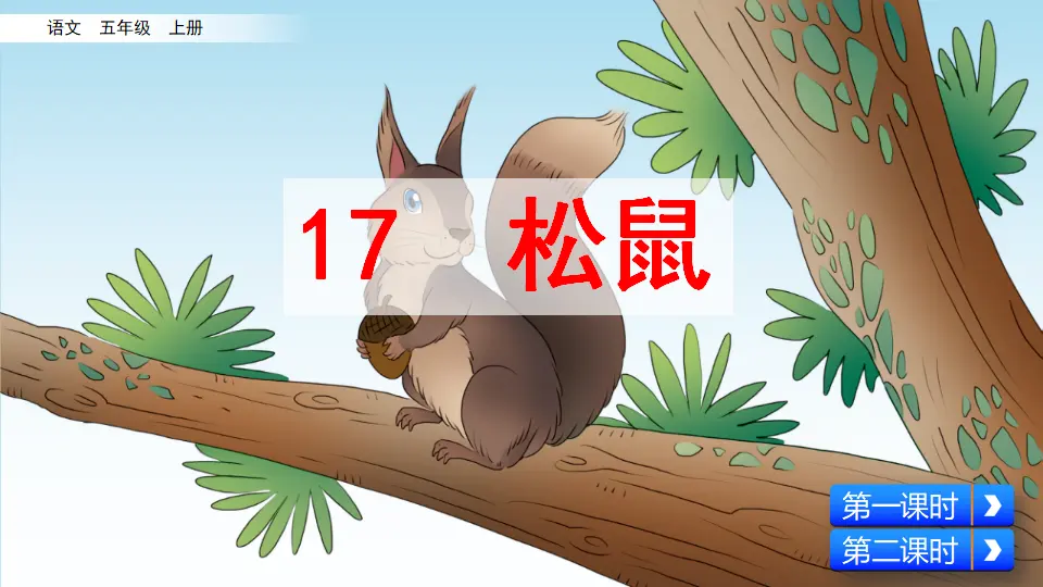 17 松鼠（课件2）_02.webp