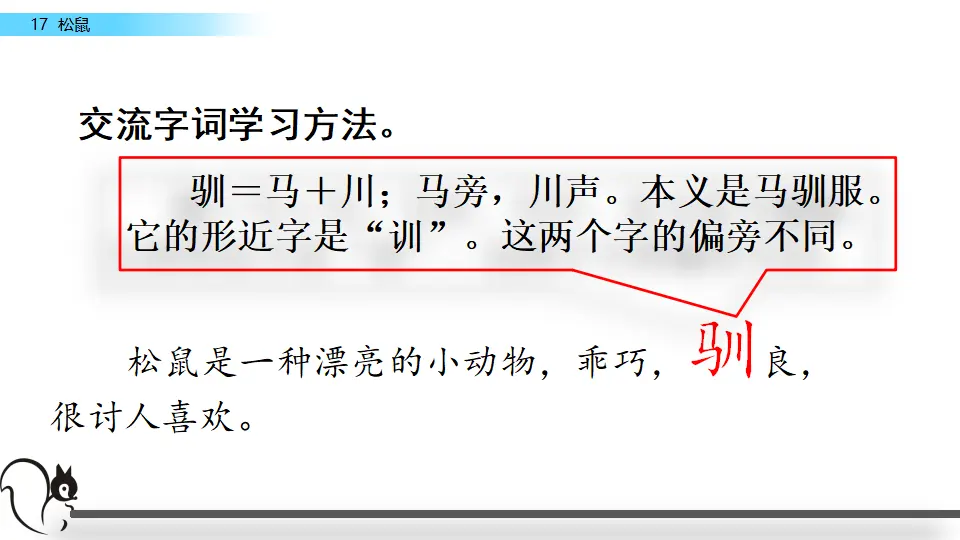 17 松鼠（课件2）_05.webp