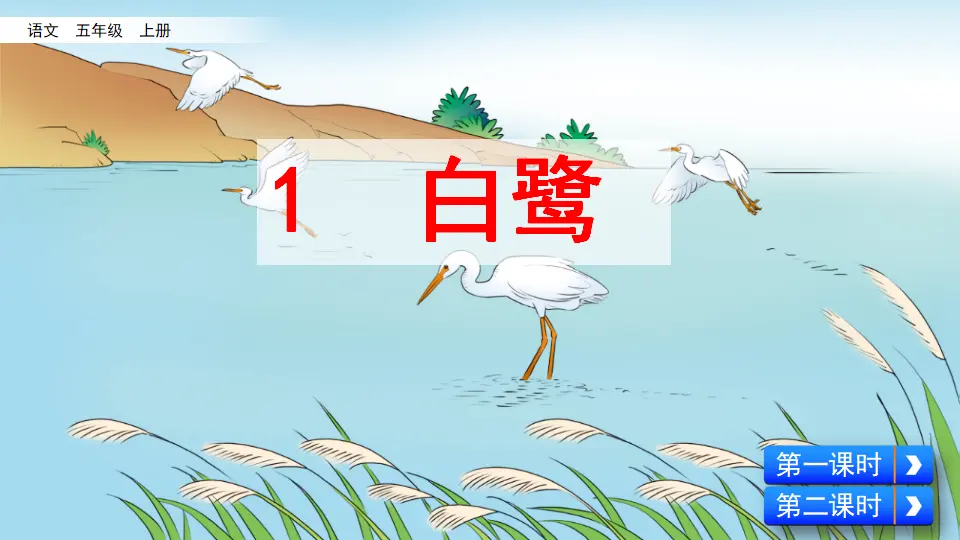 1 白鹭（课件2）_03.webp