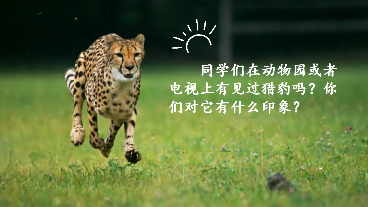 7.什么比猎豹的速度更快（课件3）_01.webp