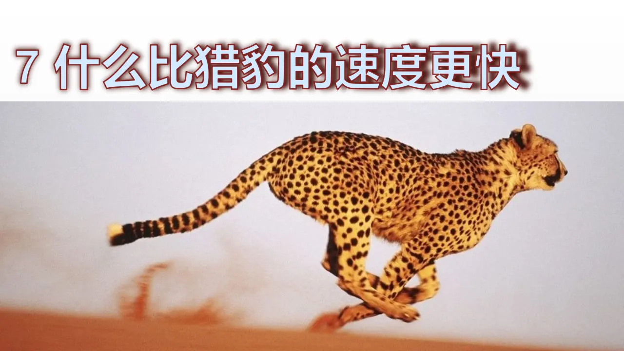 7.什么比猎豹的速度更快（课件3）_02.webp