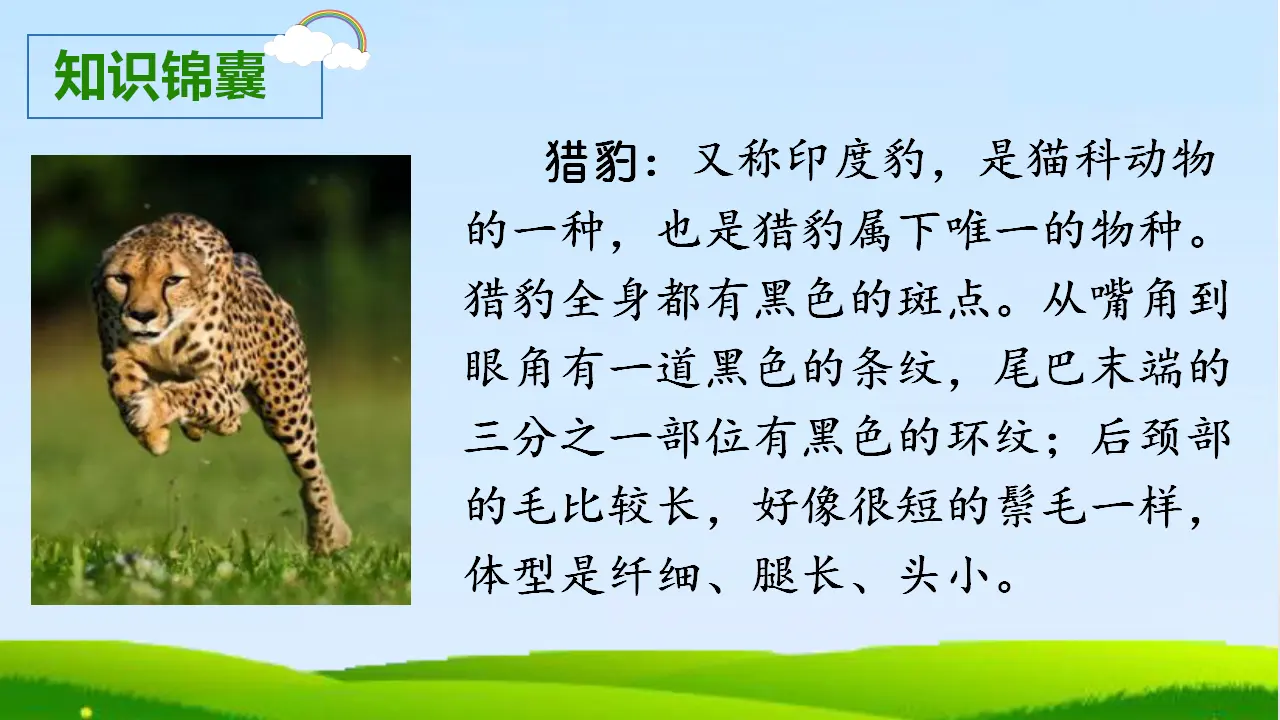 7.什么比猎豹的速度更快（课件3）_03.webp