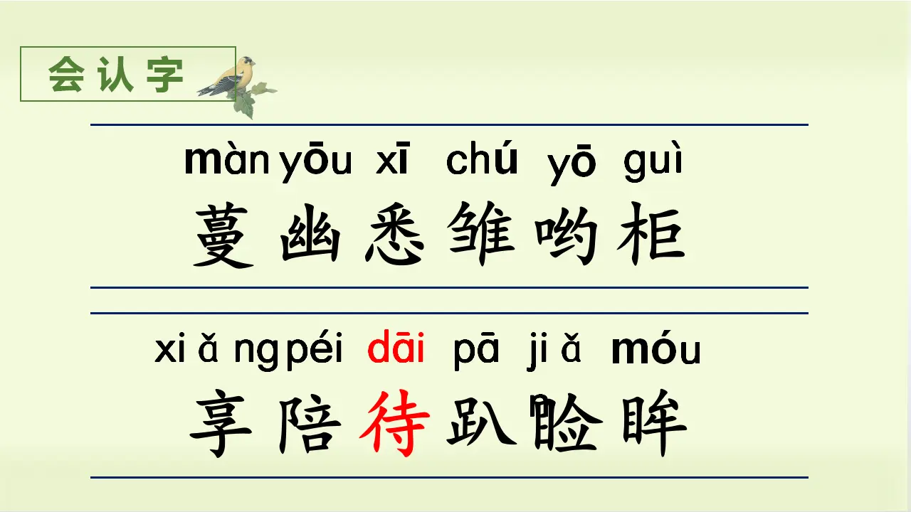 4.珍珠鸟（课件3）_05.webp