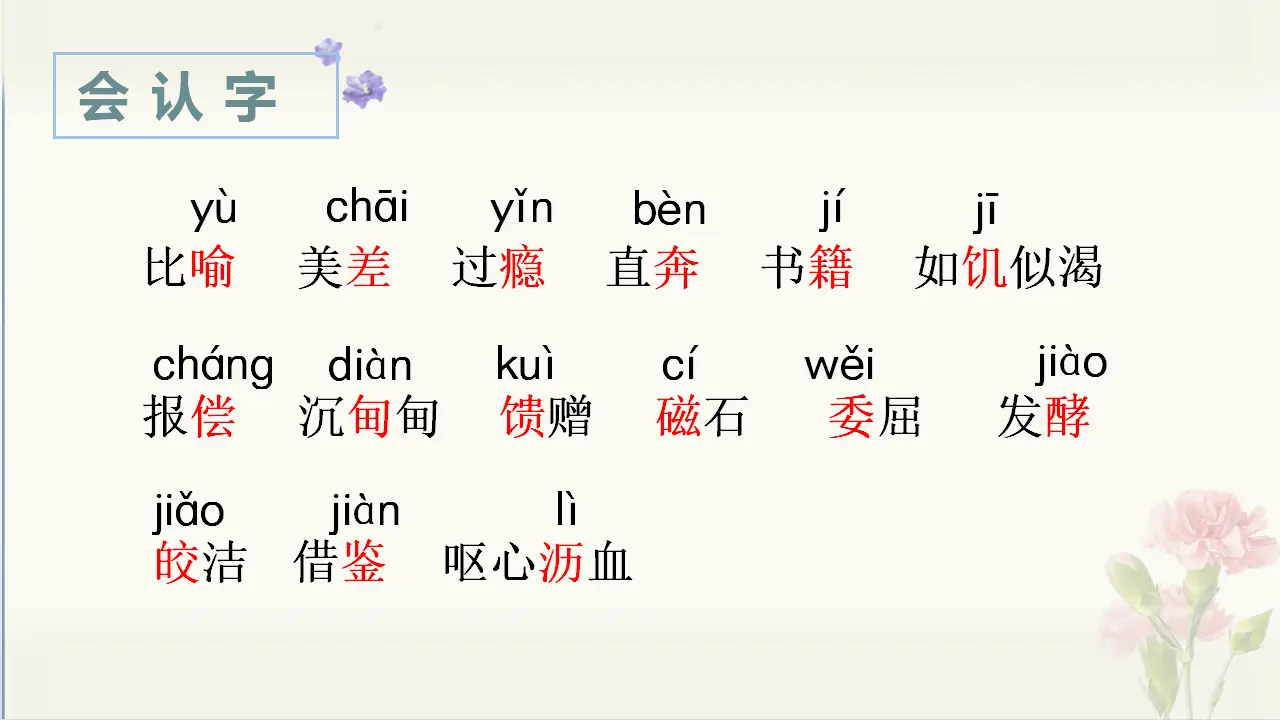 27.我的“长生果”（课件3）_04.webp