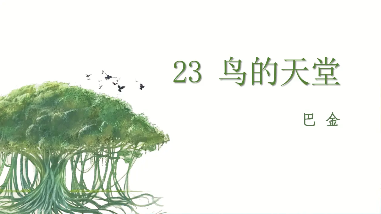 23.鸟的天堂（课件3）_02.webp