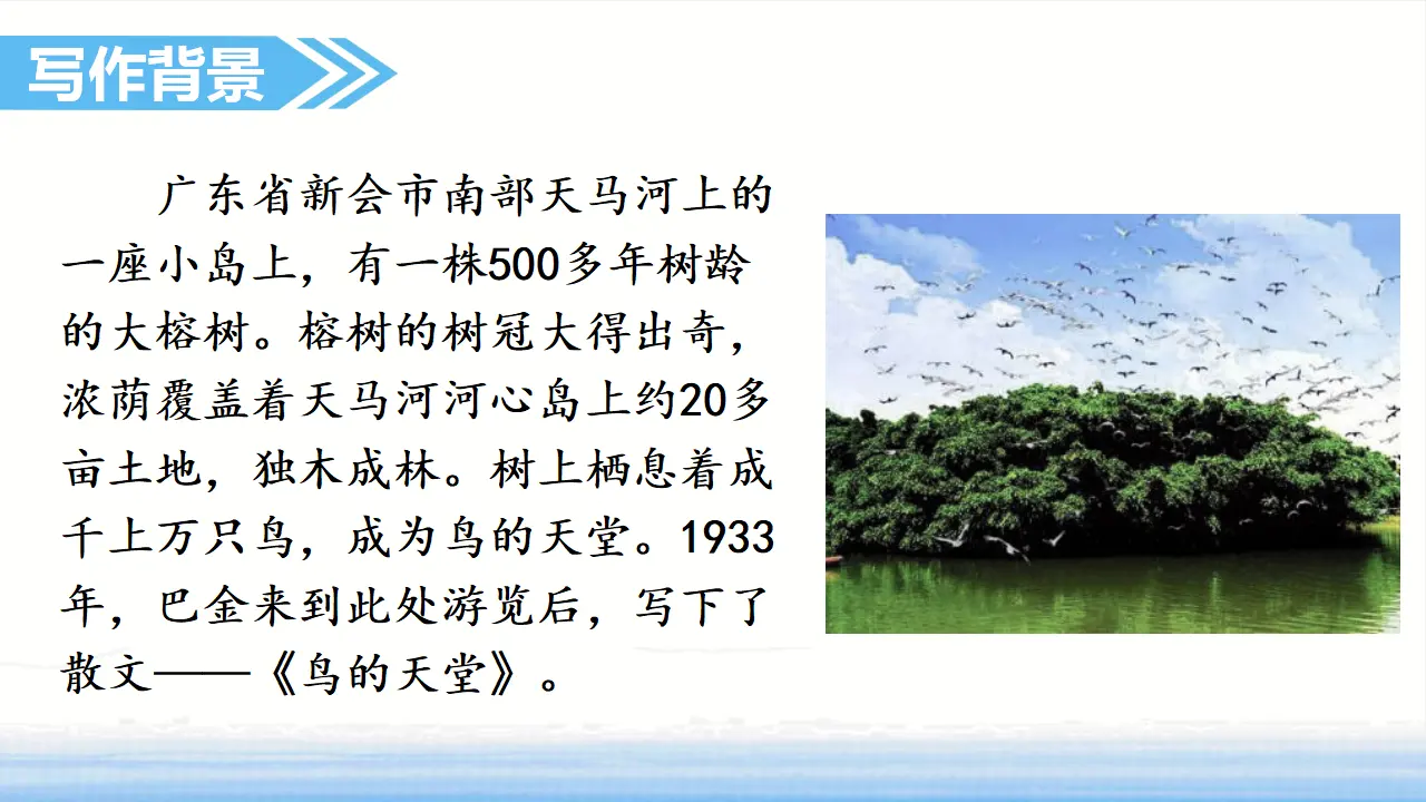 23.鸟的天堂（课件3）_04.webp