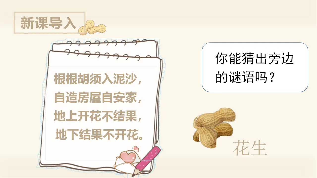 2.落花生（课件3）_01.webp