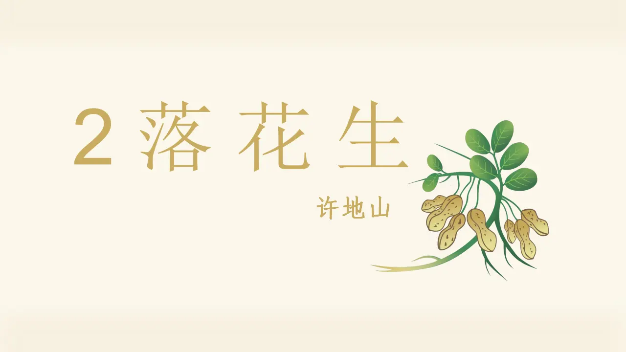 2.落花生（课件3）_04.webp