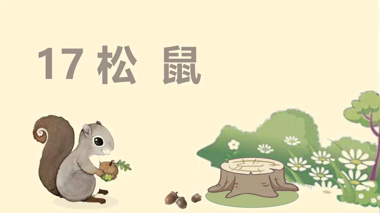 17.松鼠（课件3）_02.webp