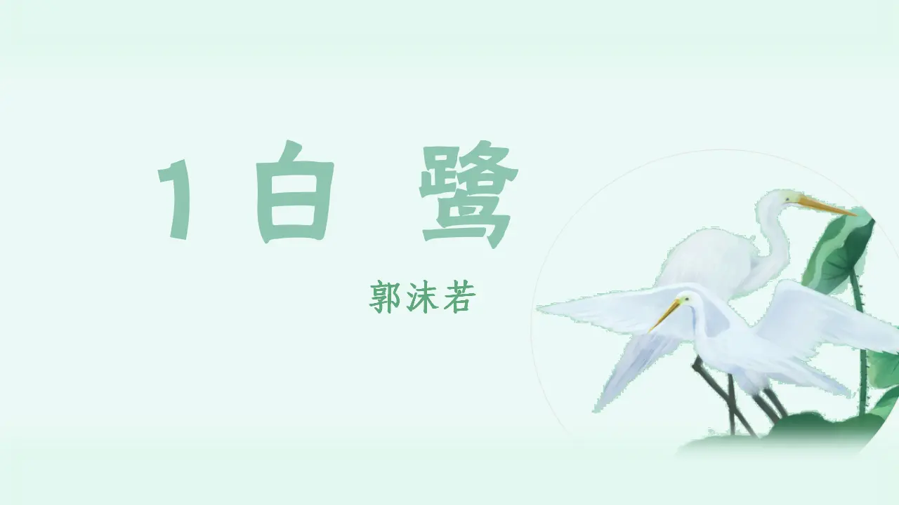 1.白鹭（课件3）_03.webp