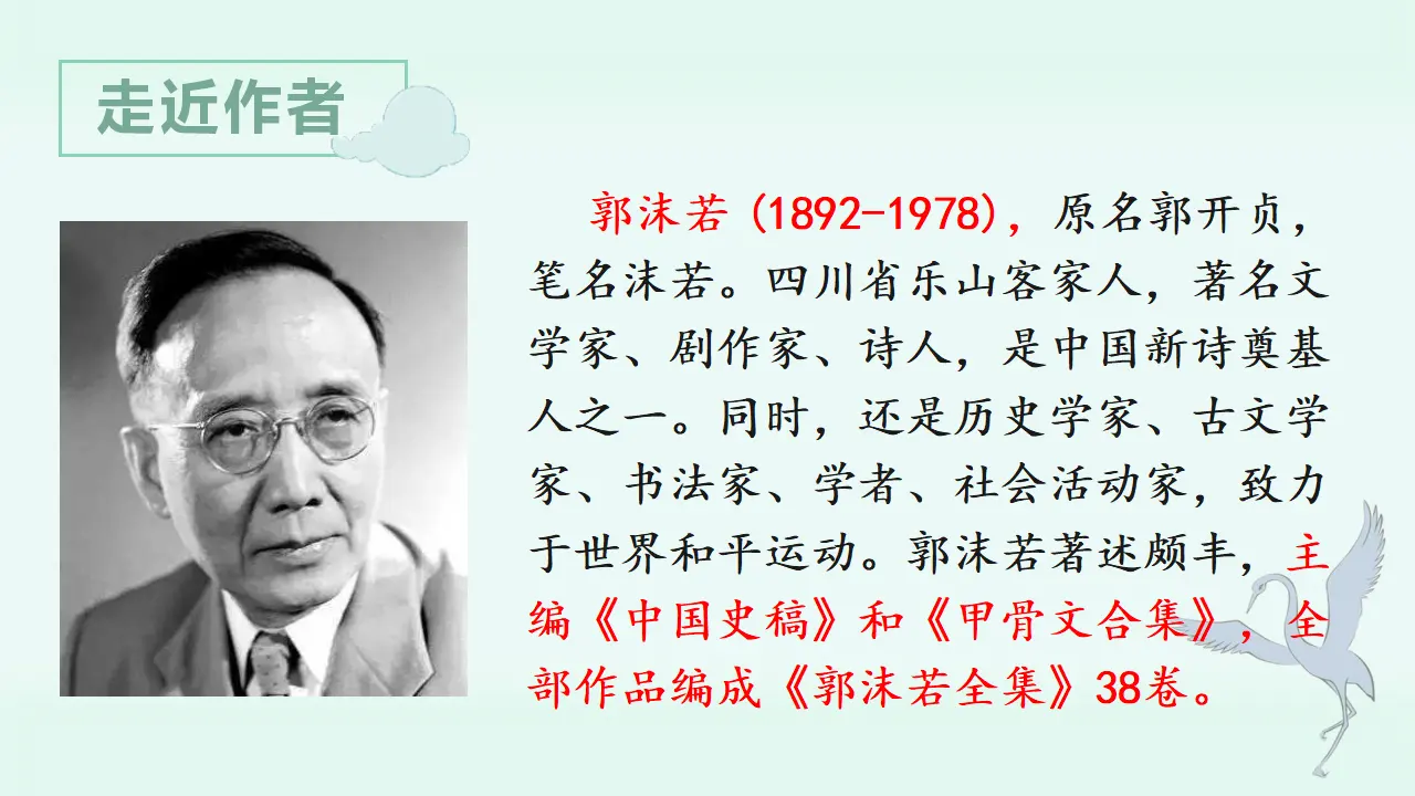 1.白鹭（课件3）_04.webp