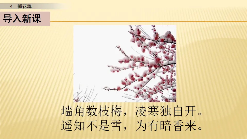 4 梅花魂_第一课时（课件1）_02.webp