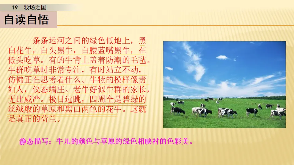 19 牧场之国_第二课时（课件1）_03.webp