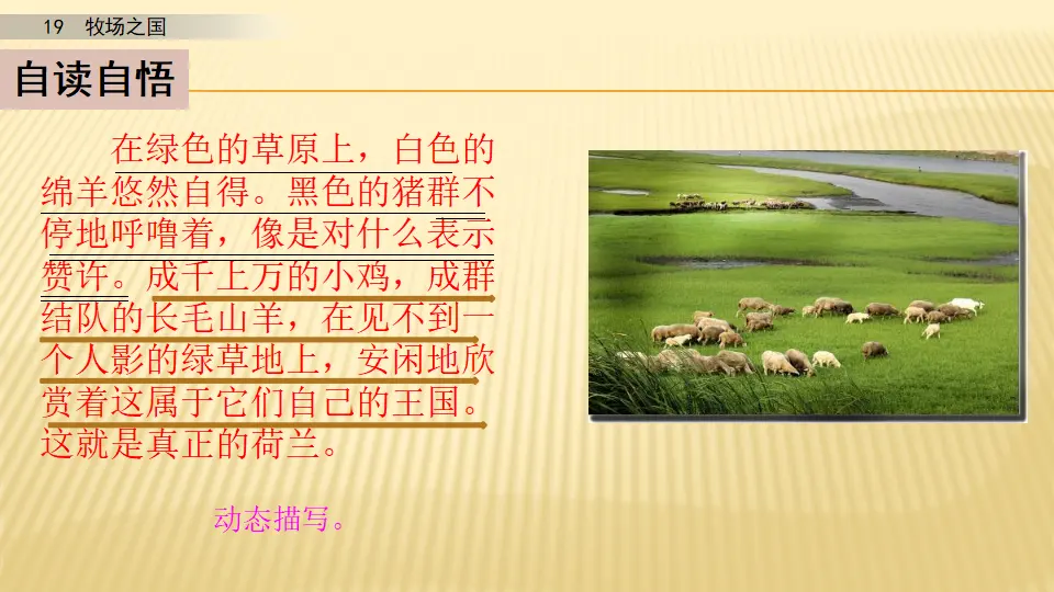 19 牧场之国_第二课时（课件1）_05.webp