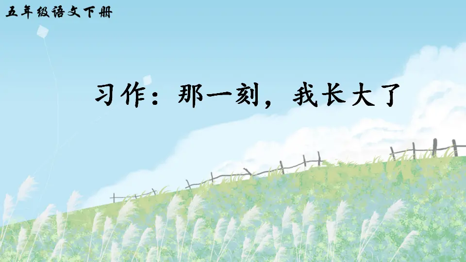 习作：那一刻，我长大了（课件2）_03.webp