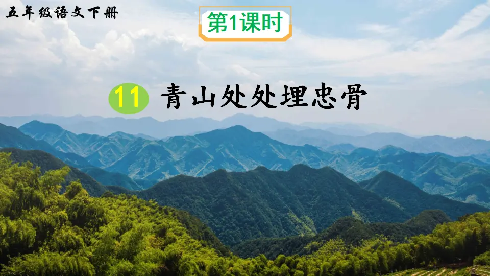11 青山处处埋忠骨（课件2）_02.webp