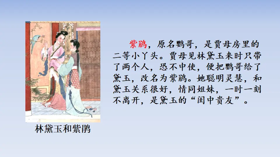 链接2：紫鹃（课件3）_01.webp
