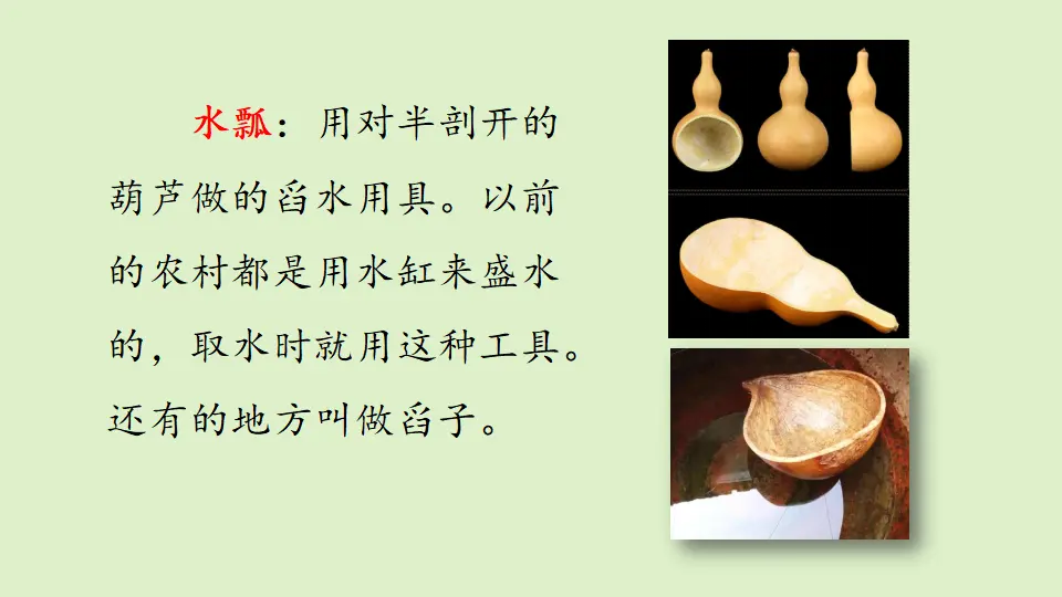链接1：水瓢（课件3）_01.webp