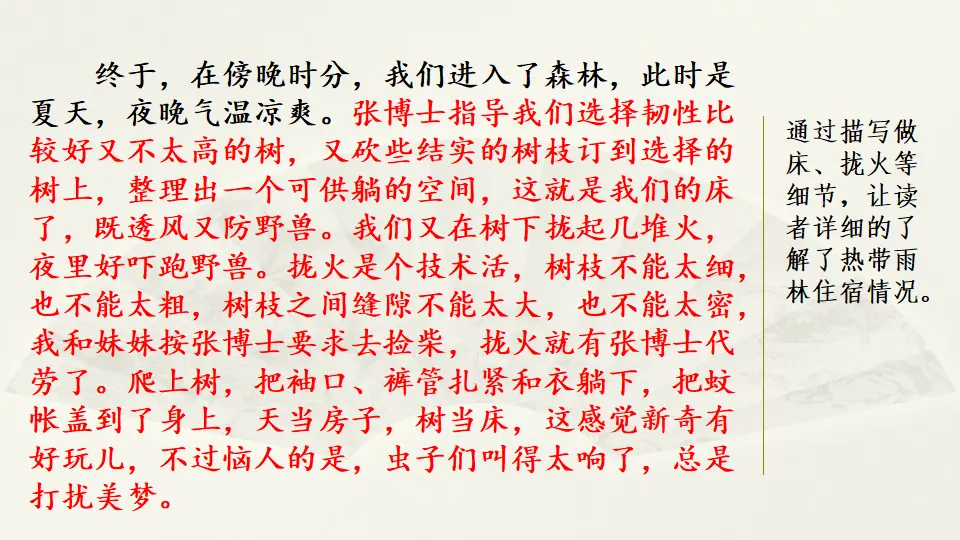 范文1：热带雨林探险（课件3）_02.webp