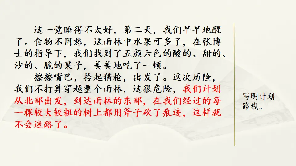 范文1：热带雨林探险（课件3）_03.webp