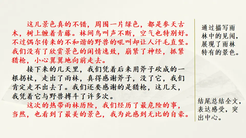范文1：热带雨林探险（课件3）_04.webp