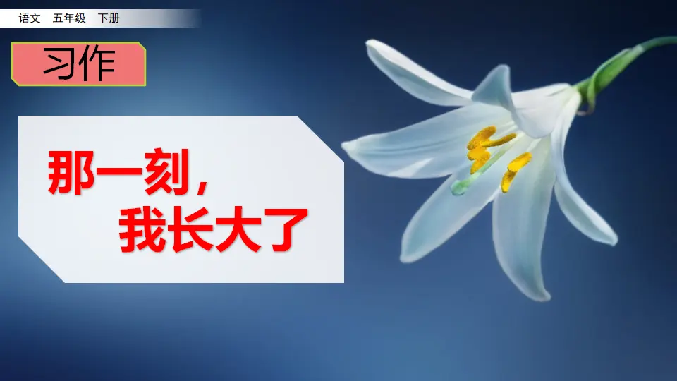 习作：那一刻，我长大了（课件3）_05.webp