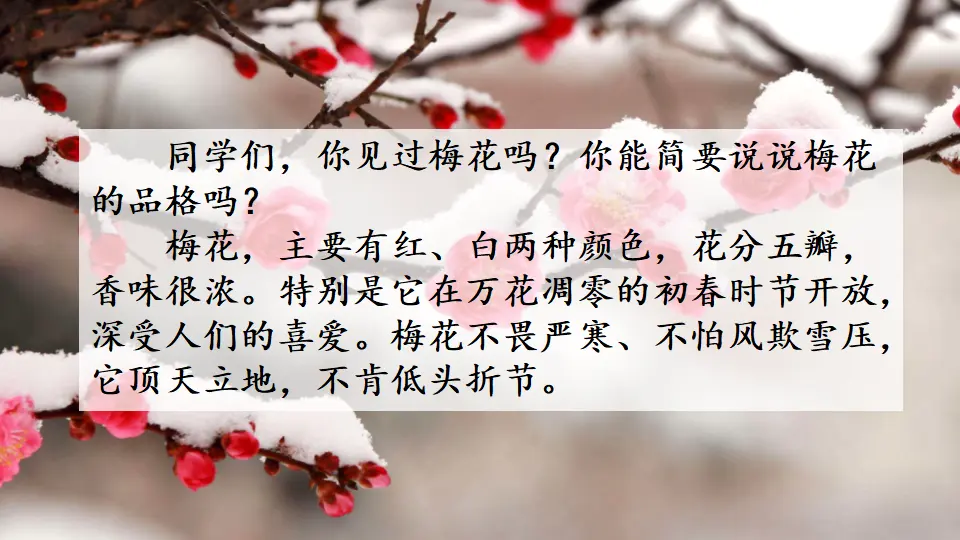 4 梅花魂（课件3）_01.webp