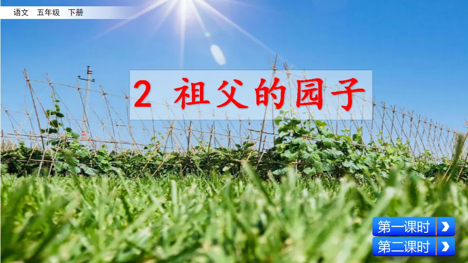 2 祖父的园子（课件3）_02.webp