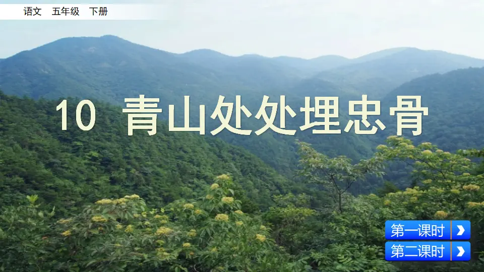 10 青山处处埋忠骨（课件3）_03.webp