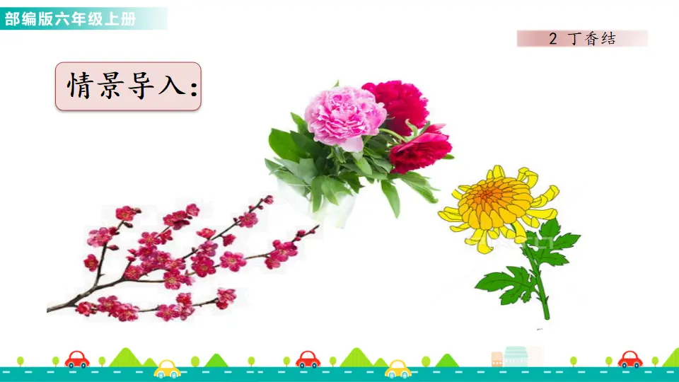 2 丁香结（课件1）_02.webp