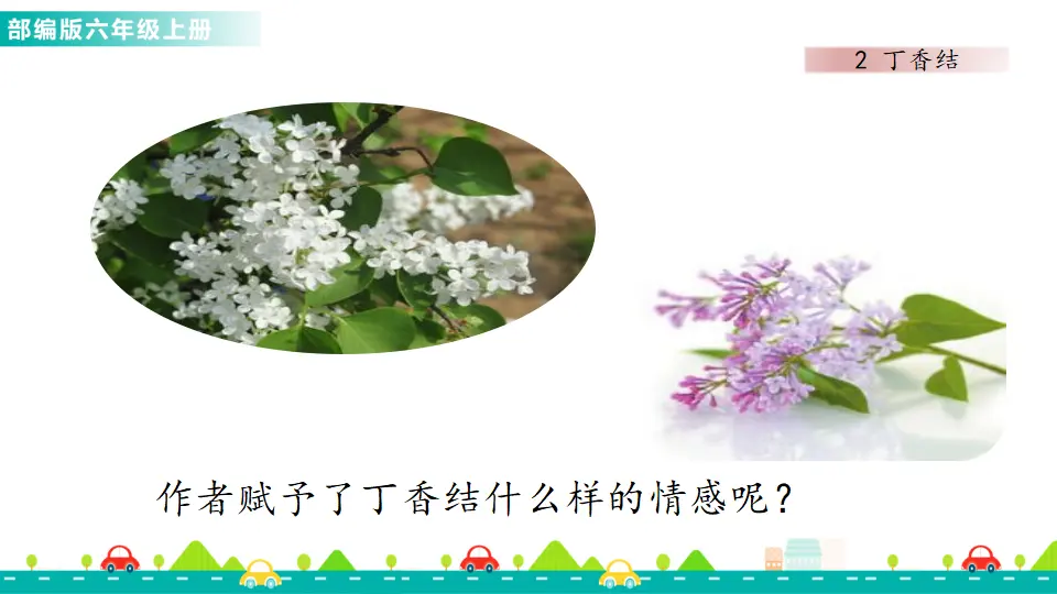 2 丁香结（课件1）_03.webp