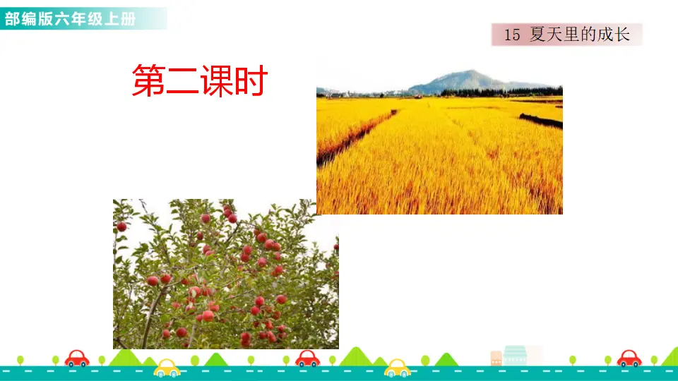 15 夏天里的成长（课件1）_04.webp