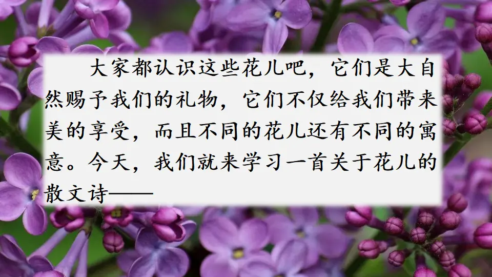 4 花之歌（课件2）_01.webp