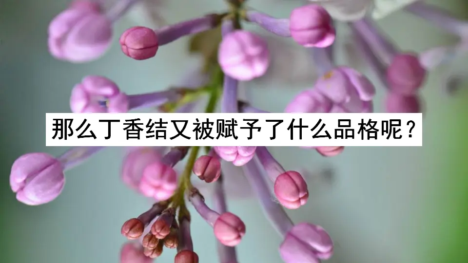 2 丁香结（课件2）_01.webp