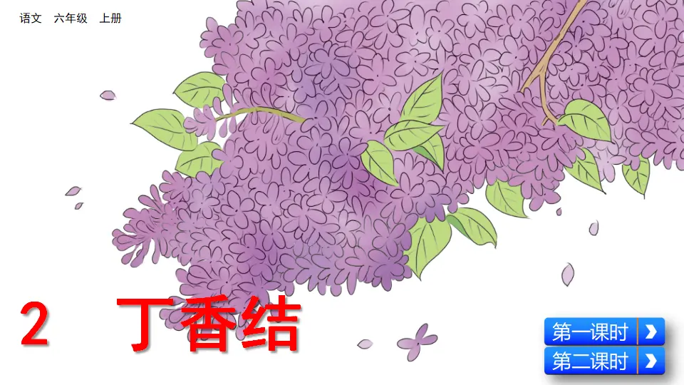 2 丁香结（课件2）_02.webp