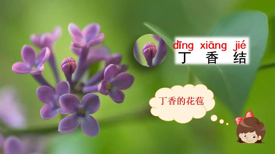 2 丁香结（课件2）_04.webp