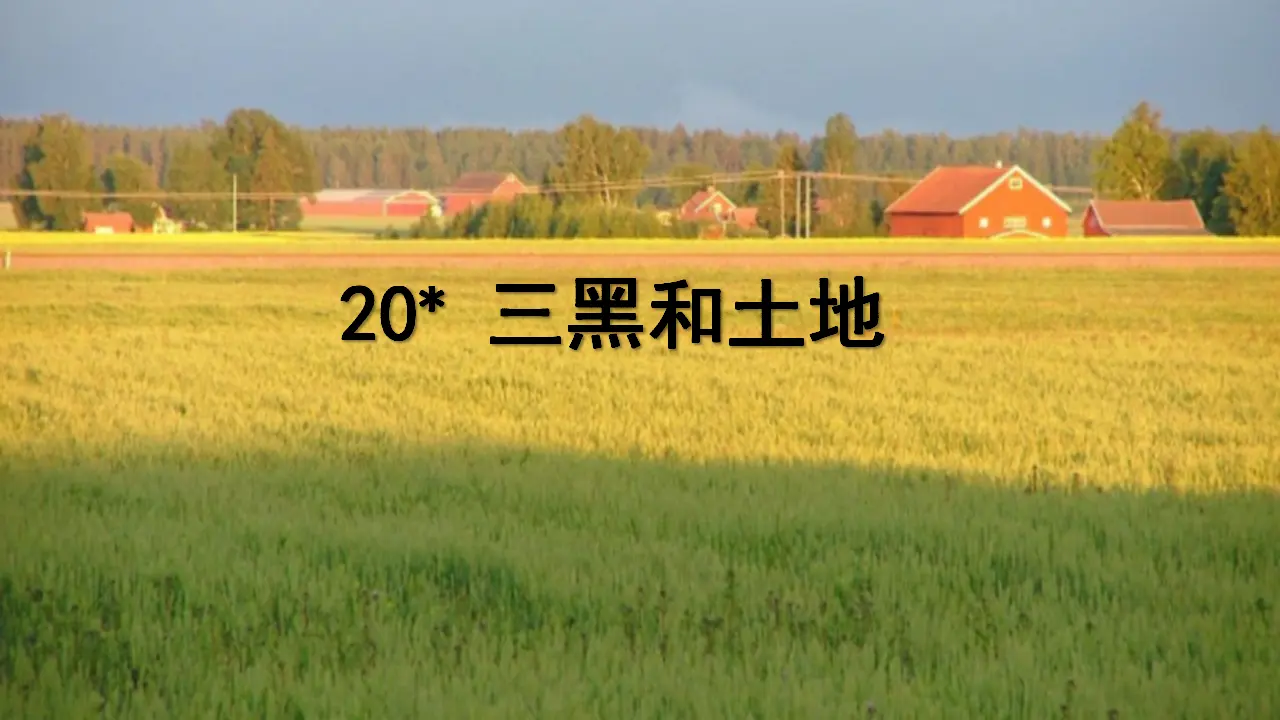 20.三黑和土地（课件3）_01.webp