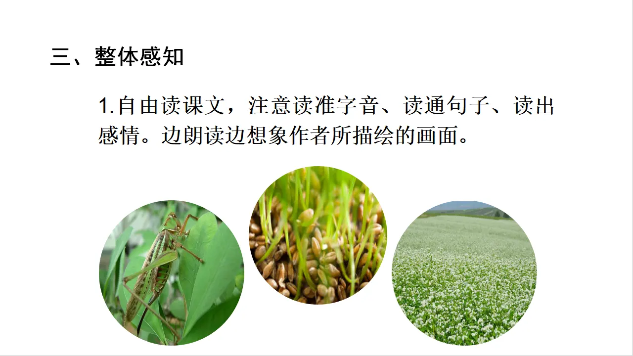 20.三黑和土地（课件3）_05.webp