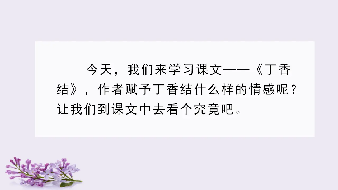 2.丁香结（课件3）_03.webp