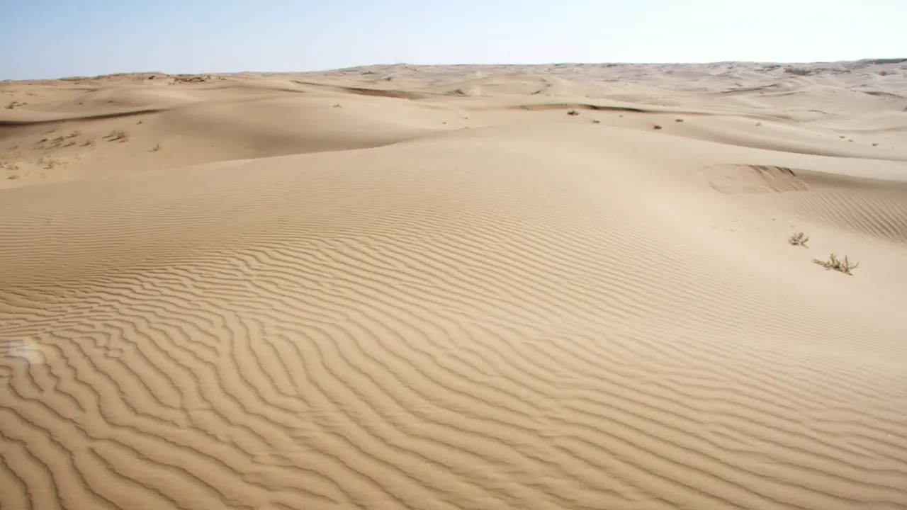 19.青山不老（课件3）_01.webp