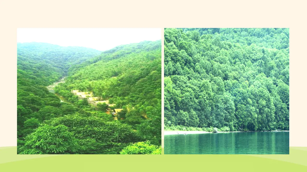 19.青山不老（课件3）_04.webp