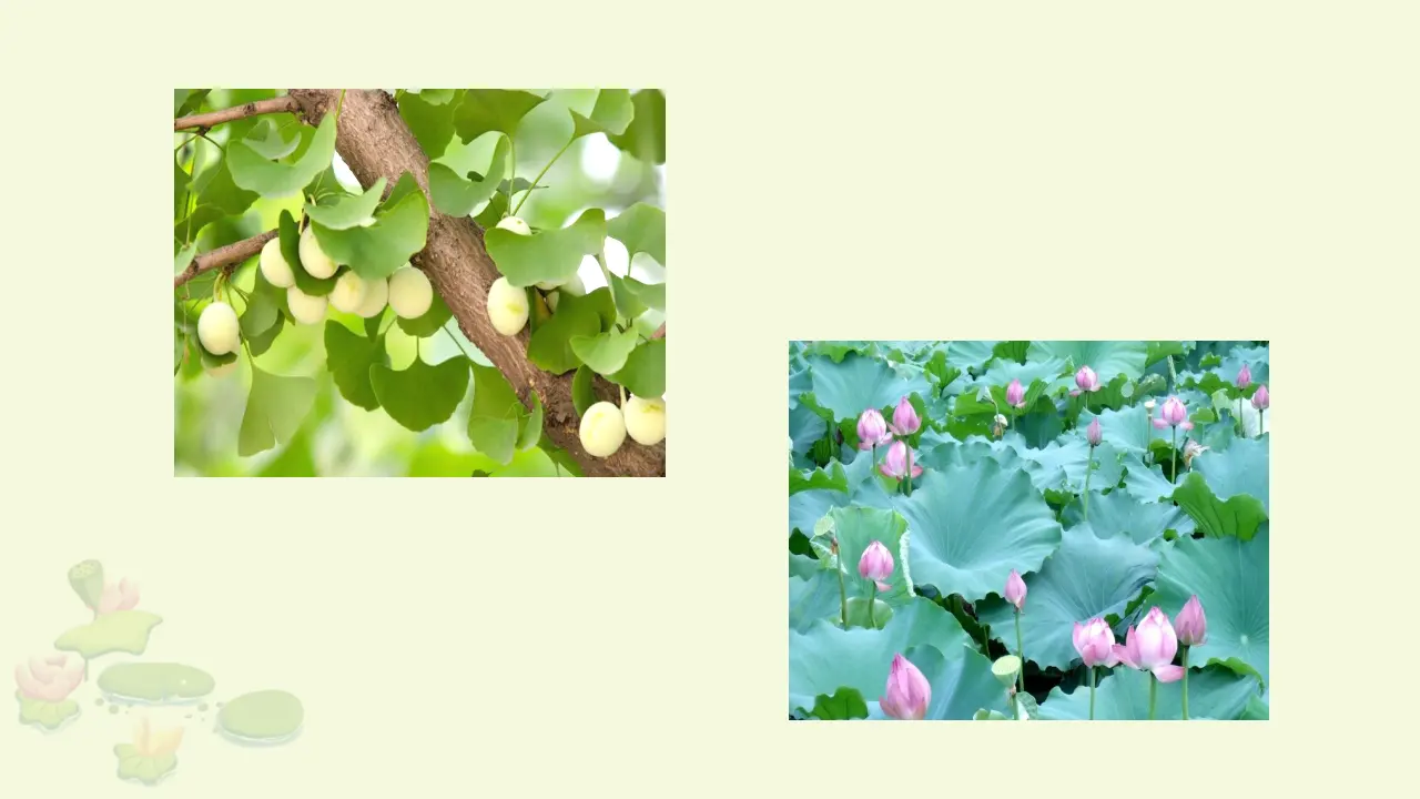 15 夏天里的成长（课件3）_02.webp